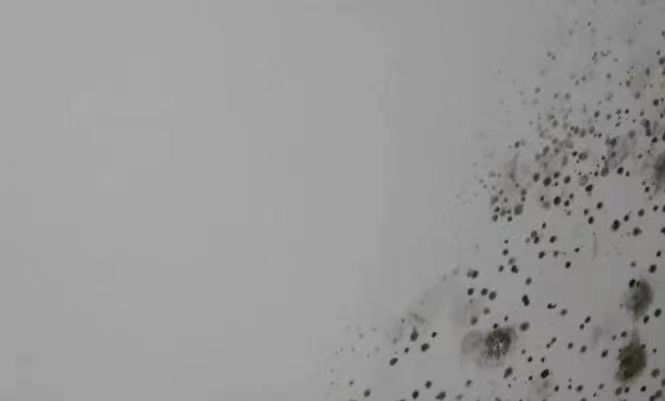 微信圖片_20230307141309